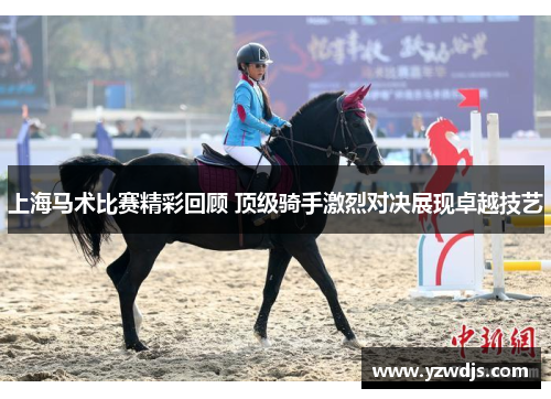 上海马术比赛精彩回顾 顶级骑手激烈对决展现卓越技艺