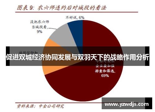 促进双城经济协同发展与双羽天下的战略作用分析